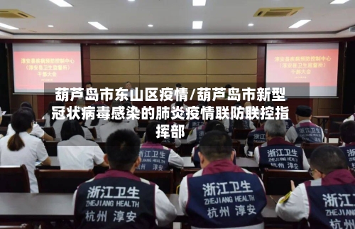 葫芦岛市东山区疫情/葫芦岛市新型冠状病毒感染的肺炎疫情联防联控指挥部