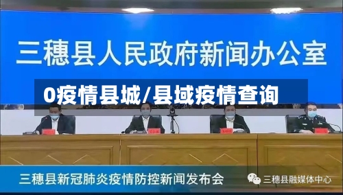 0疫情县城/县域疫情查询-第2张图片