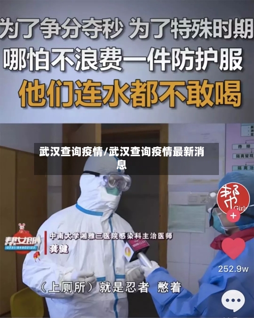 武汉查询疫情/武汉查询疫情最新消息-第2张图片