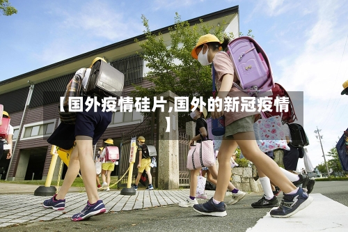 【国外疫情硅片,国外的新冠疫情】
