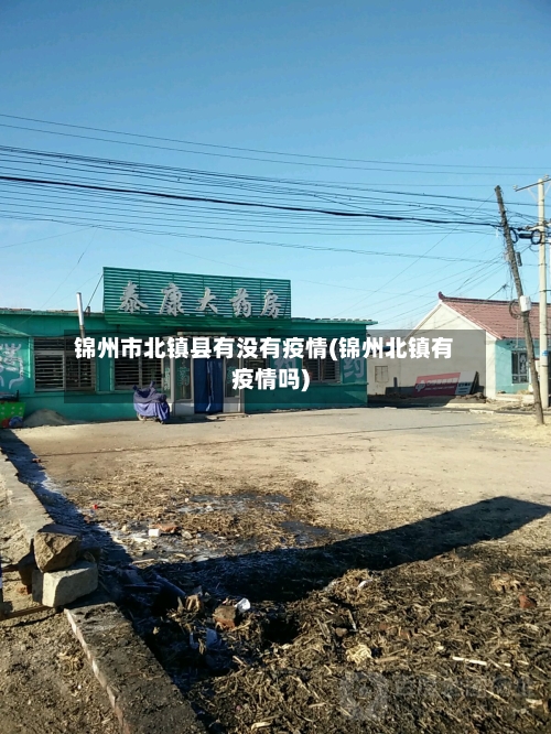 锦州市北镇县有没有疫情(锦州北镇有疫情吗)-第3张图片