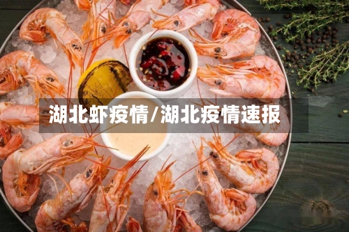 湖北虾疫情/湖北疫情速报-第3张图片