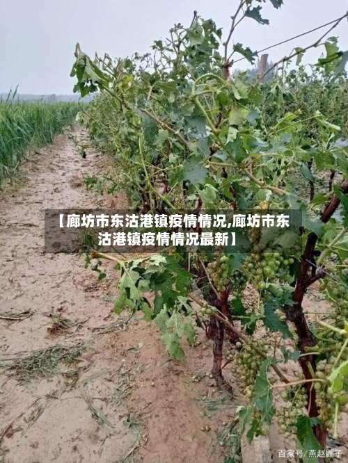 【廊坊市东沽港镇疫情情况,廊坊市东沽港镇疫情情况最新】-第3张图片