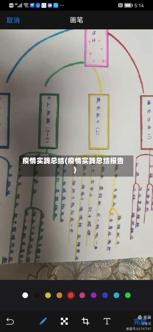 疫情实践总结(疫情实践总结报告)