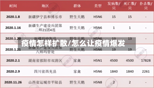 疫情怎样扩散/怎么让疫情爆发-第2张图片