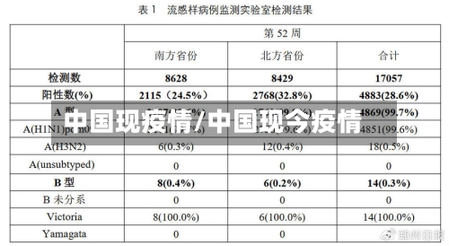 中国现疫情/中国现今疫情-第2张图片