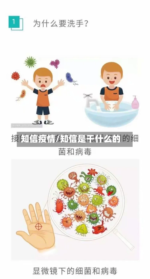 知信疫情/知信是干什么的