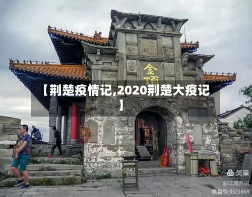 【荆楚疫情记,2020荆楚大疫记】-第2张图片