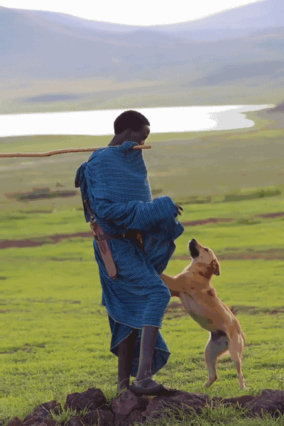 【非洲疫情动态,非洲疫情动态图】