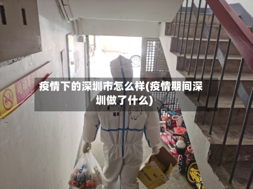 疫情下的深圳市怎么样(疫情期间深圳做了什么)
