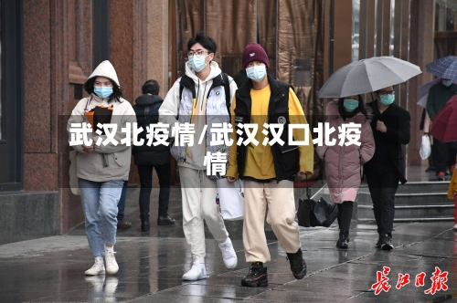 武汉北疫情/武汉汉口北疫情-第3张图片