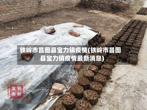 铁岭市昌图县宝力镇疫情(铁岭市昌图县宝力镇疫情最新消息)