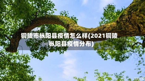 铜陵市枞阳县疫情怎么样(2021铜陵枞阳县疫情分布)-第2张图片
