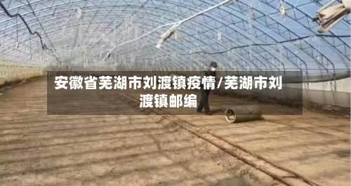 安徽省芜湖市刘渡镇疫情/芜湖市刘渡镇邮编-第3张图片