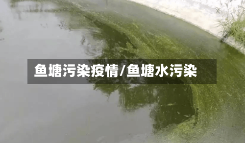 鱼塘污染疫情/鱼塘水污染