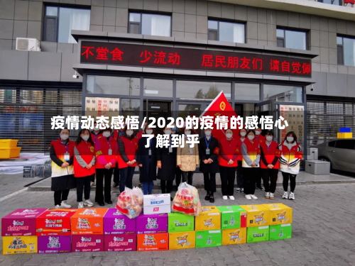 疫情动态感悟/2020的疫情的感悟心了解到乎-第2张图片