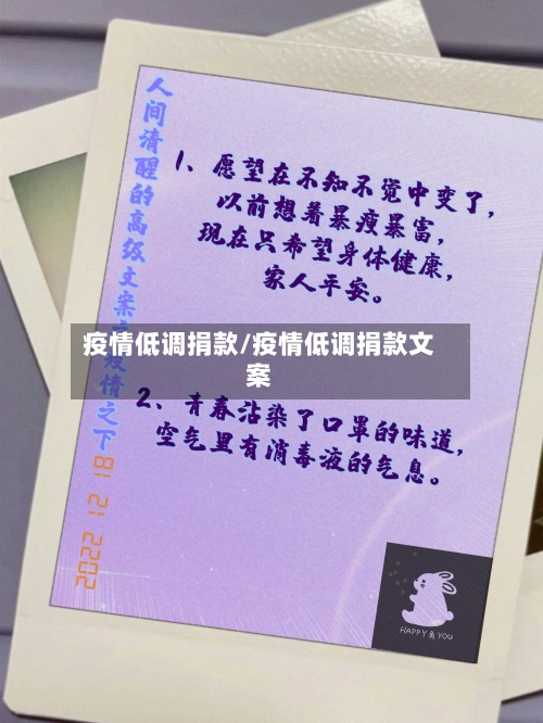 疫情低调捐款/疫情低调捐款文案-第3张图片