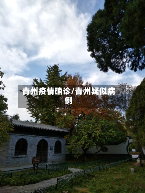 青州疫情确诊/青州疑似病例