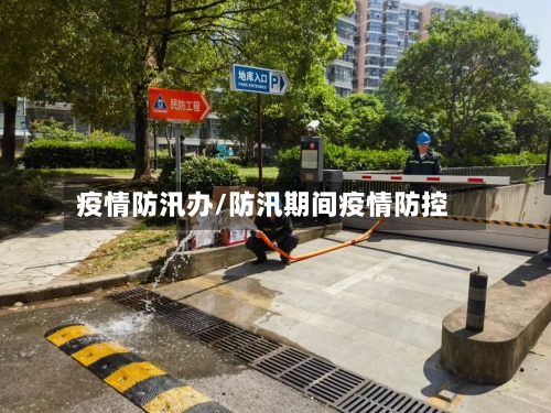 疫情防汛办/防汛期间疫情防控