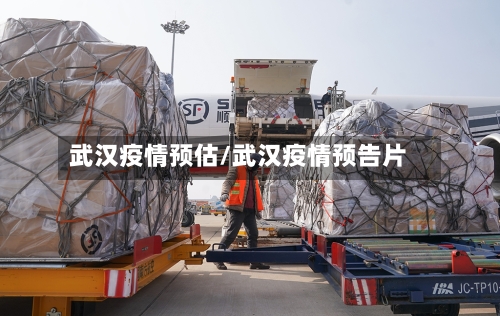 武汉疫情预估/武汉疫情预告片-第2张图片