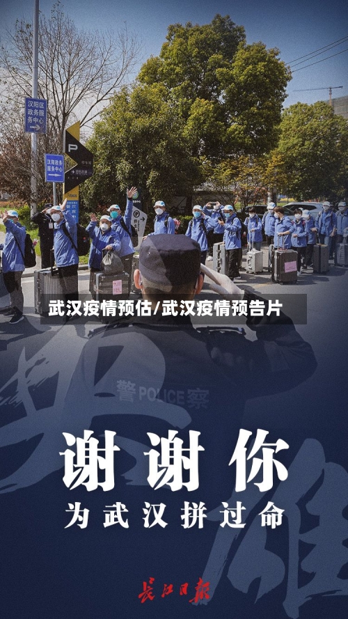 武汉疫情预估/武汉疫情预告片