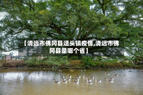 【清远市佛冈县迳头镇疫情,清远市佛冈县是哪个省】