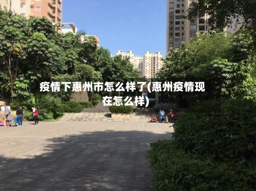 疫情下惠州市怎么样了(惠州疫情现在怎么样)
