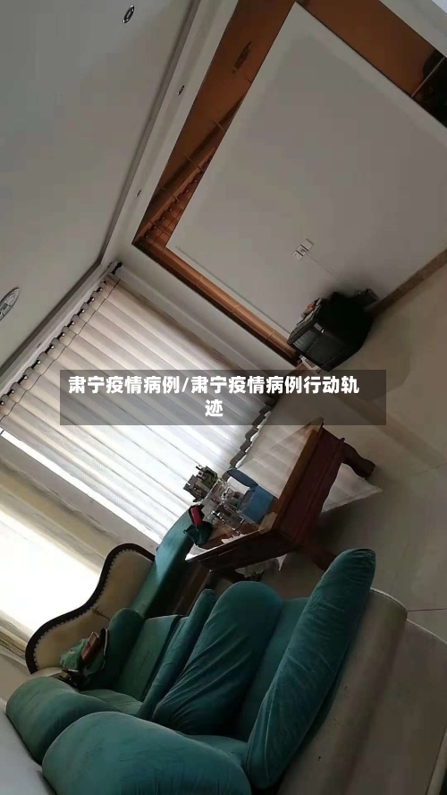 肃宁疫情病例/肃宁疫情病例行动轨迹-第2张图片