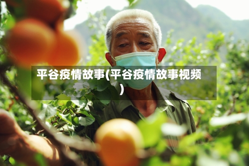 平谷疫情故事(平谷疫情故事视频)