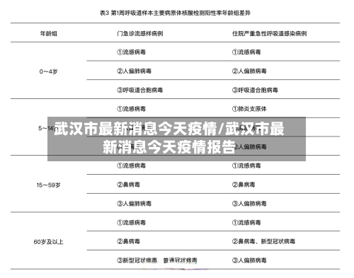 武汉市最新消息今天疫情/武汉市最新消息今天疫情报告-第3张图片