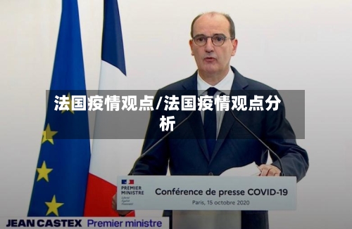 法国疫情观点/法国疫情观点分析-第2张图片