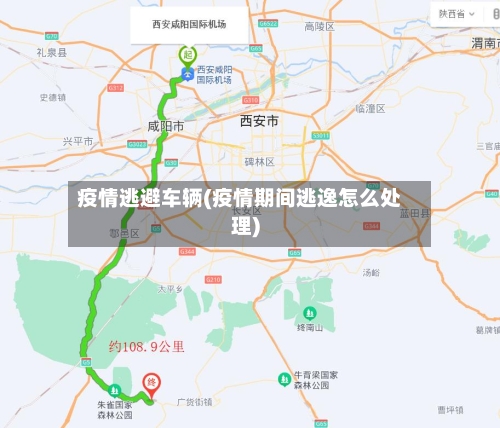 疫情逃避车辆(疫情期间逃逸怎么处理)-第3张图片