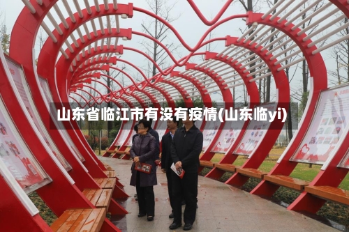 山东省临江市有没有疫情(山东临yi)