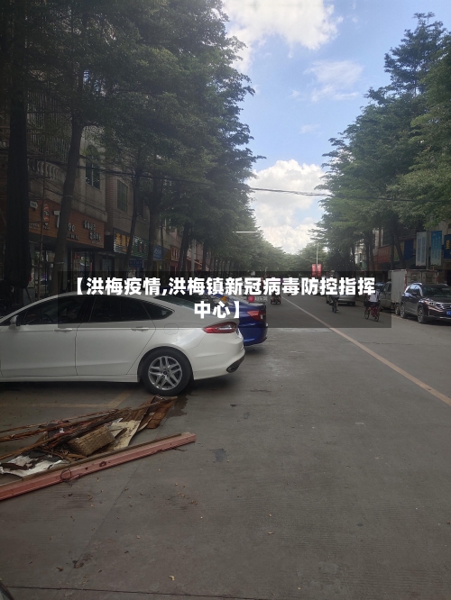 【洪梅疫情,洪梅镇新冠病毒防控指挥中心】