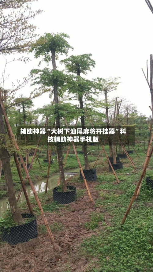 辅助神器“大树下汕尾麻将开挂器”科技辅助神器手机版