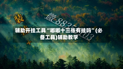 辅助开挂工具“嘟嘟十三张有挂吗”(必备工具)辅助教学-第3张图片