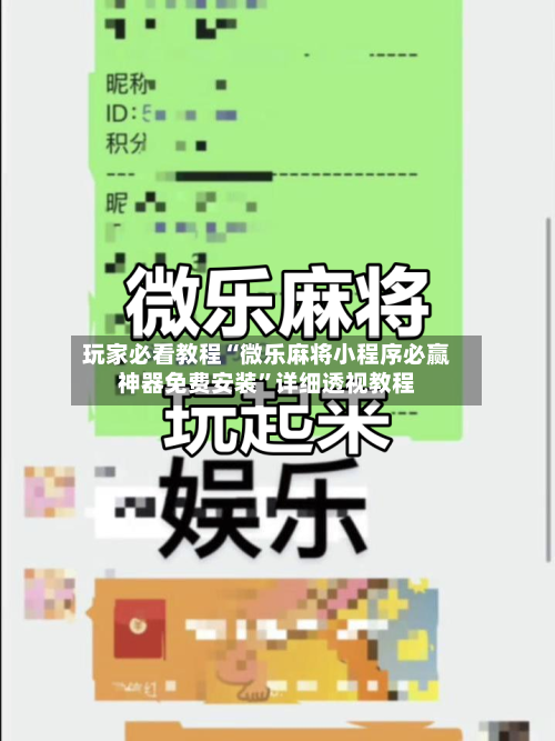 玩家必看教程“微乐麻将小程序必赢神器免费安装	”详细透视教程-第2张图片