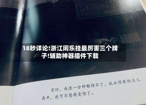 18秒详论!浙江闲乐挂最厉害三个牌子!辅助神器插件下载