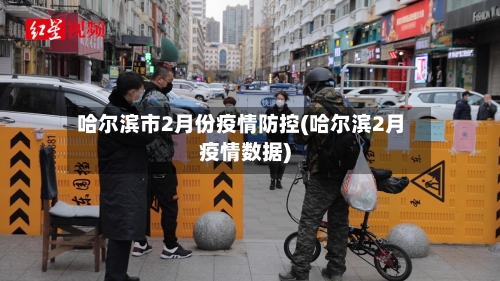 哈尔滨市2月份疫情防控(哈尔滨2月疫情数据)-第3张图片