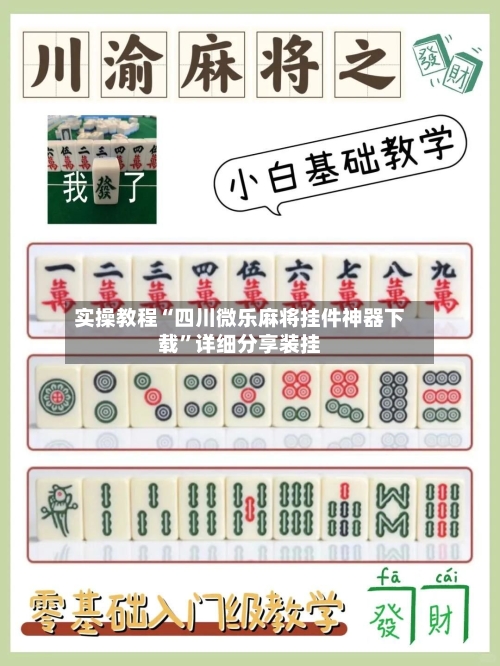 实操教程“四川微乐麻将挂件神器下载”详细分享装挂-第3张图片