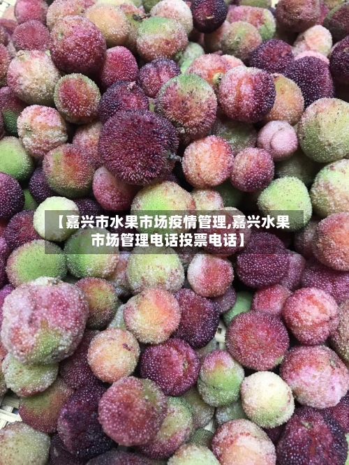 【嘉兴市水果市场疫情管理,嘉兴水果市场管理电话投票电话】