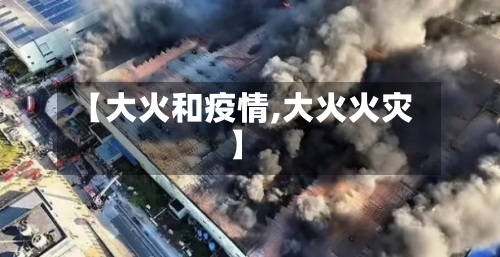 【大火和疫情,大火火灾】-第3张图片