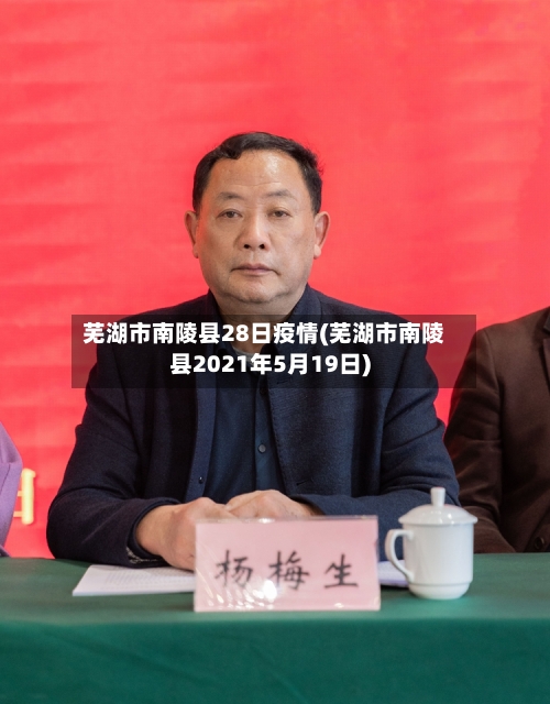 芜湖市南陵县28日疫情(芜湖市南陵县2021年5月19日)