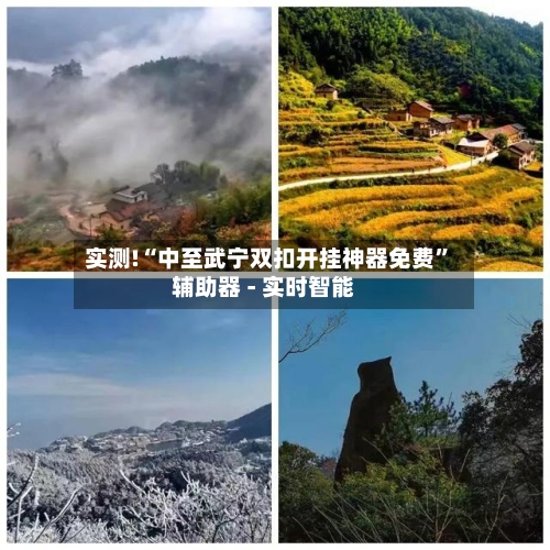 实测!“中至武宁双扣开挂神器免费”辅助器 - 实时智能