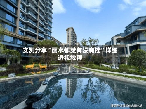 实测分享“丽水都莱有没有挂	”详细透视教程-第2张图片