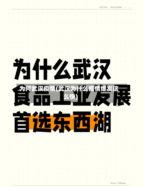 为何武汉疫情(武汉为什么疫情爆发这么快)-第3张图片
