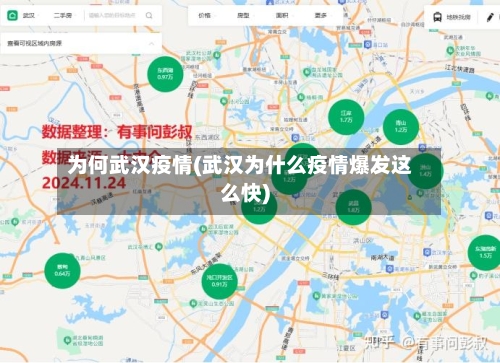 为何武汉疫情(武汉为什么疫情爆发这么快)-第2张图片