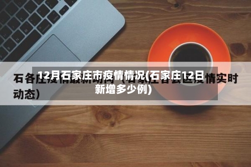 12月石家庄市疫情情况(石家庄12日新增多少例)