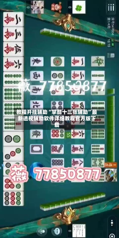 教程开挂辅助“掌酷十三张辅助”最新透视辅助软件详细教程官方版下载-第2张图片