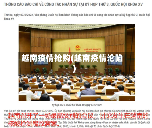 越南疫情抢购(越南疫情沦陷)-第2张图片